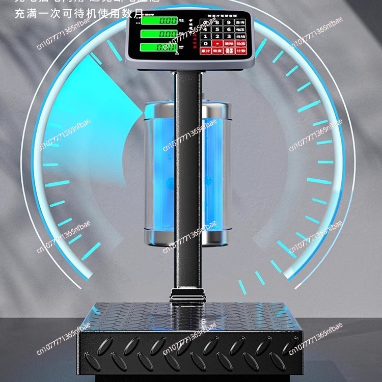 100kg 300kg Electronic Platfor - Diy Electronics Market 评论和价格